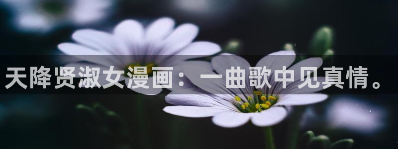 漫画社网站